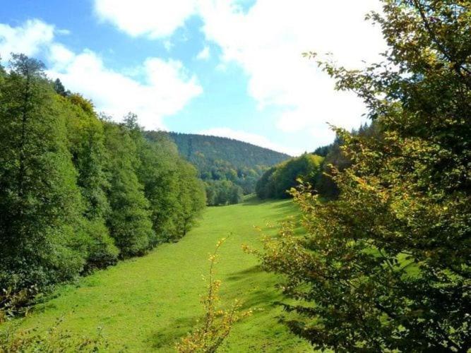 Apartment In The Odenwald With Terrace Mossautal Luaran gambar